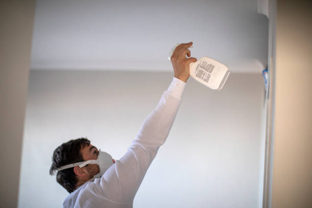 Best Affordable Mold Removal  in Edinburg, TX