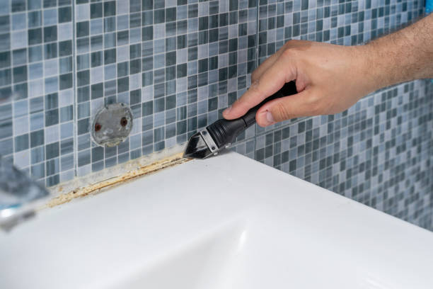 Best Mold Removal and Inspection  in Edinburg, TX