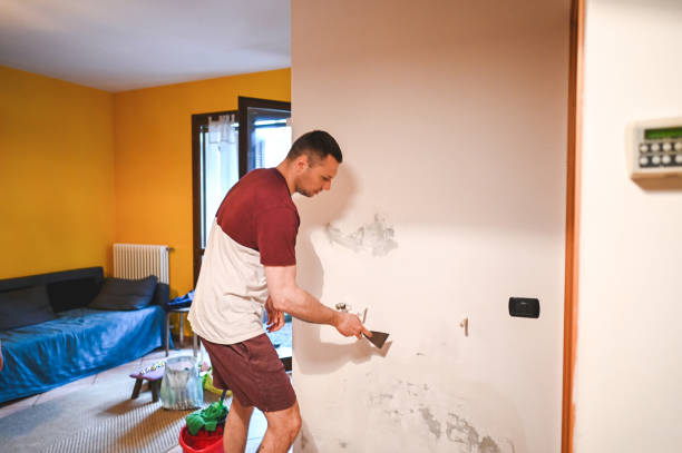 Best Commercial Mold Removal  in Edinburg, TX
